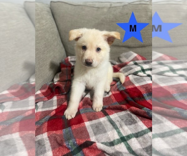 Medium Photo #3  Breeder Profile in ALACHUA, FL, USA