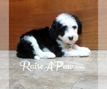 Small #2 Breeder Profile image