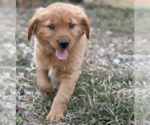 Small #2 Breeder Profile image