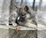 Small #51 Breeder Profile image