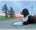Small #8 Breeder Profile image