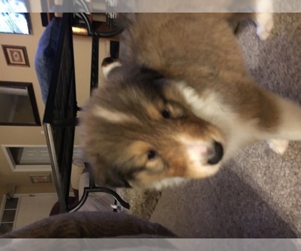 Medium Photo #1  Breeder Profile in FAIRHOPE, AL, USA