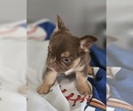 Small #9 Breeder Profile image