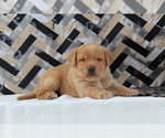 Small #10 Breeder Profile image