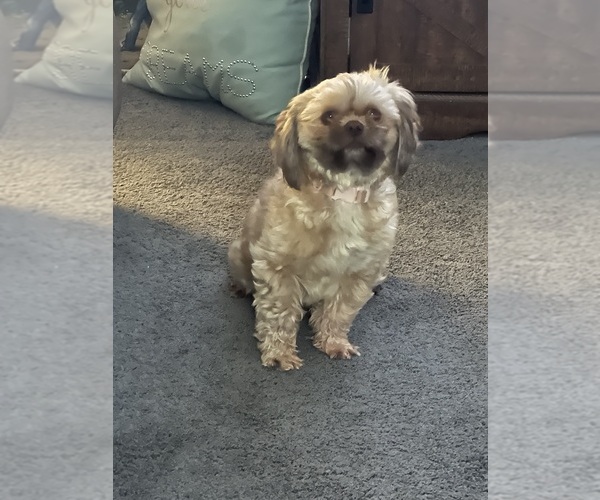 Medium Photo #4  Breeder Profile in STOKESDALE, NC, USA