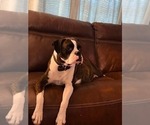 Small #1 Breeder Profile image
