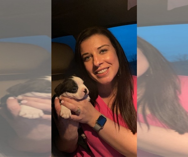 Medium Photo #1  Breeder Profile in VALDOSTA, GA, USA