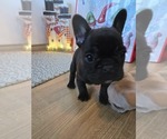Small #2 Breeder Profile image