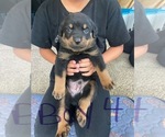 Small #21 Breeder Profile image