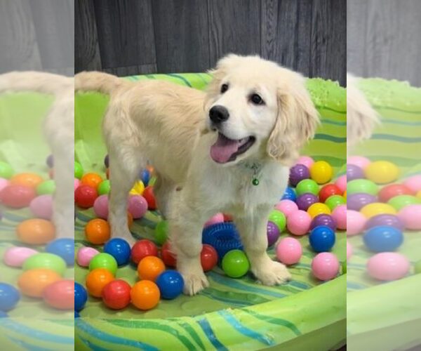 Medium Photo #6  Breeder Profile in Aylmer, Ontario, Canada