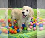 Small #5 Breeder Profile image