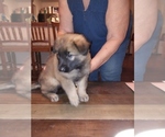 Small breeder photo
