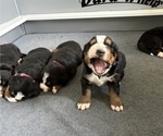 Small #3 Breeder Profile image