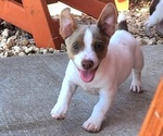 Small #10 Breeder Profile image
