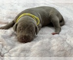 Small #22 Breeder Profile image