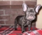 Small #2 Breeder Profile image