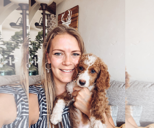 Medium Photo #1  Breeder Profile in ARCHES, UT, USA