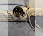 Small #13 Breeder Profile image
