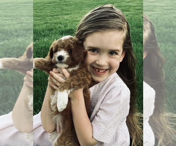 Medium Photo #1  Breeder Profile in CRAIGVILLE, IN, USA
