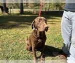 Small #1 Breeder Profile image