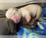 Small #13 Breeder Profile image