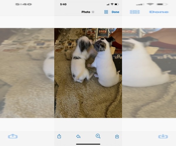 Medium Photo #3  Breeder Profile in SALUDA, SC, USA
