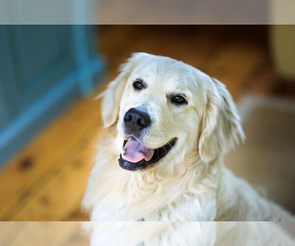 Medium Photo #3  Breeder Profile in VALDERS, WI, USA