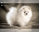 Small #8 Breeder Profile image