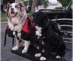 Small #30 Breeder Profile image
