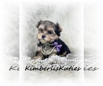 Small #1 Breeder Profile image