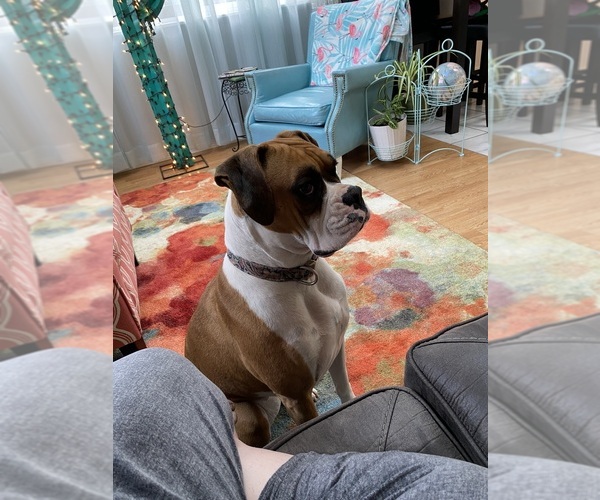 Medium Photo #10  Breeder Profile in INCHELIUM, WA, USA