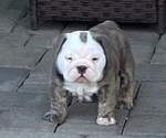 Small #7 Breeder Profile image