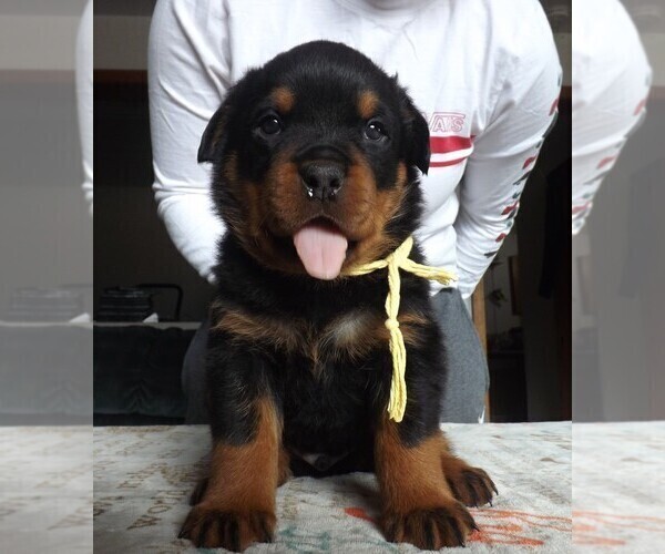Medium Photo #1  Breeder Profile in ARLEE, MT, USA
