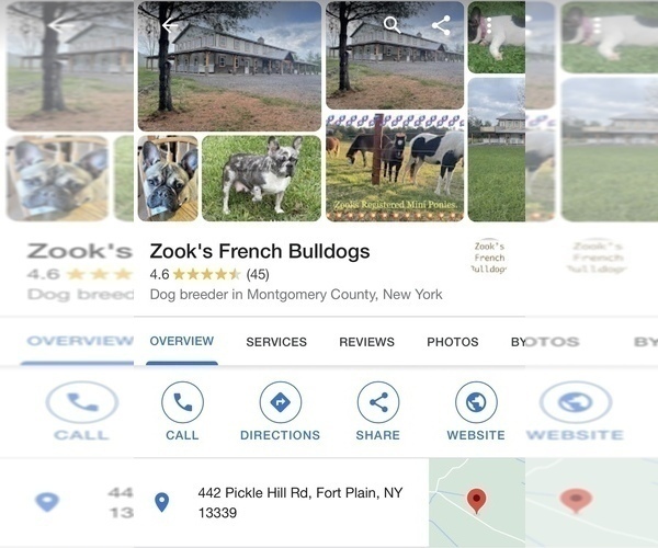 Medium Photo #5  Breeder Profile in FORT PLAIN, NY, USA
