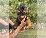 Small #18 Breeder Profile image