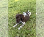 Small #13 Breeder Profile image