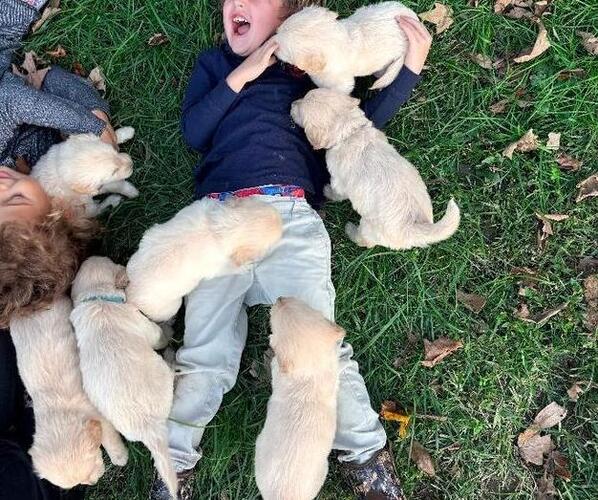 Medium Photo #1  Breeder Profile in MIDDLETOWN, OH, USA