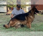 Small #1 Breeder Profile image