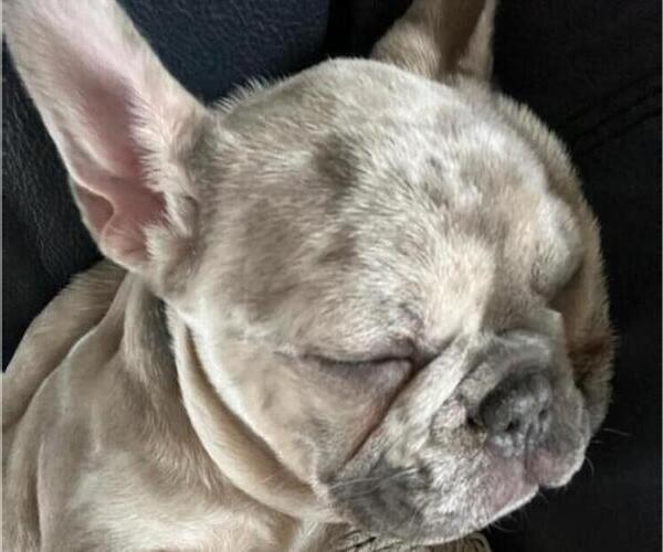 Medium Photo #15  Breeder Profile in BLAKESBURG, IA, USA