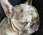 Small #14 Breeder Profile image