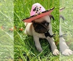 Small #6 Breeder Profile image