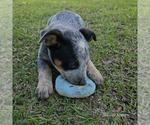 Small #23 Breeder Profile image