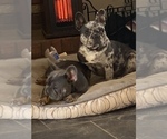 Small #4 Breeder Profile image