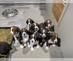 Small #5 Breeder Profile image