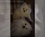 Small #37 Breeder Profile image
