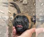 Small #14 Breeder Profile image