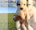 Small #13 Breeder Profile image