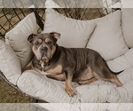 Small #25 Breeder Profile image