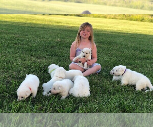 Medium Photo #1  Breeder Profile in CARDINGTON, OH, USA