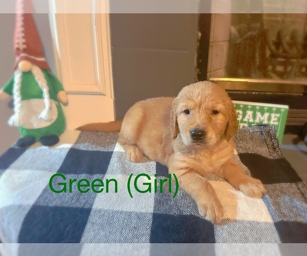 Medium Photo #1  Breeder Profile in CALHOUN, GA, USA